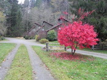 Forest Echoes Cabins Cultus Lake Exterior photo